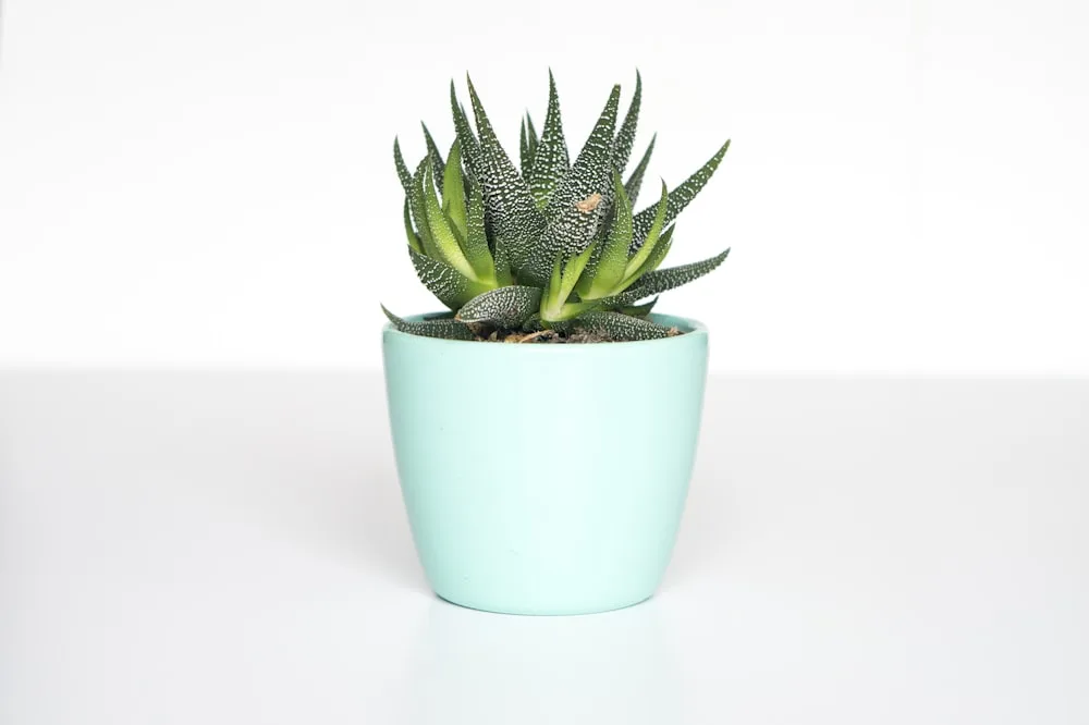 Ribbed Ceramic Floor Planter