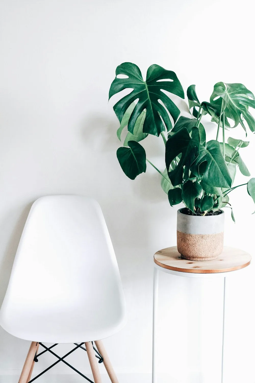 Macramé Cotton Hanging Planter